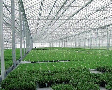 成都溫室大棚
