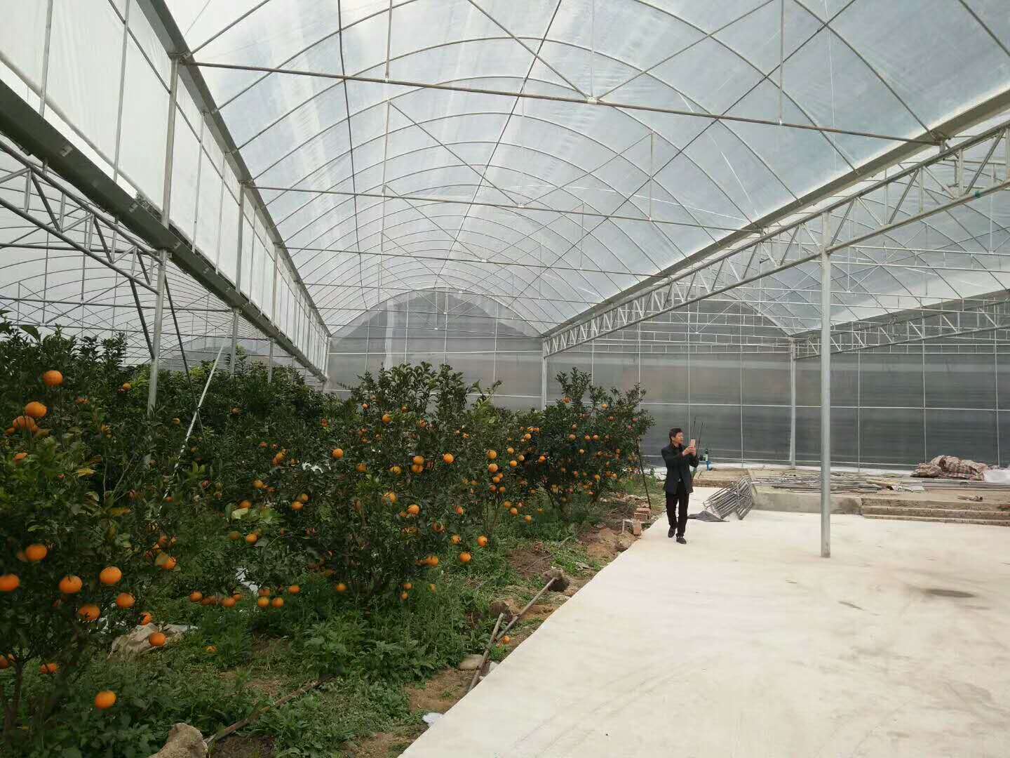 蒲江吳家威農莊的溫室大棚